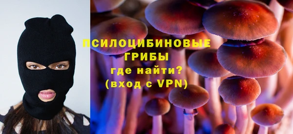 дурь Богородицк