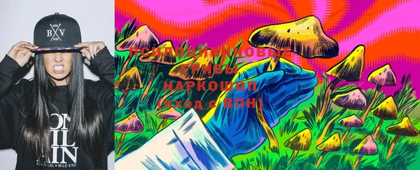 дурь Богородицк