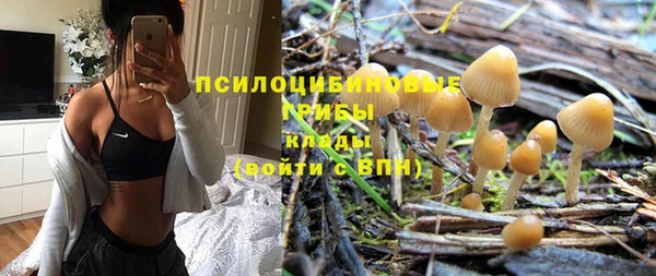 молекула духа Белоозёрский