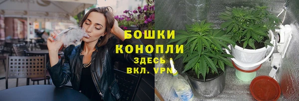 ECSTASY Богородск