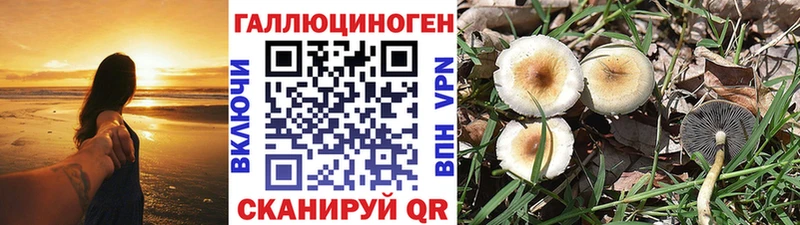 Галлюциногенные грибы мухоморы  Оха 